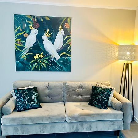 Appartement De Standing Proche Centre Ville Et Gare Mulhouse Ngoại thất bức ảnh